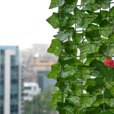 Dreams By The River Апартаменты Бухарест