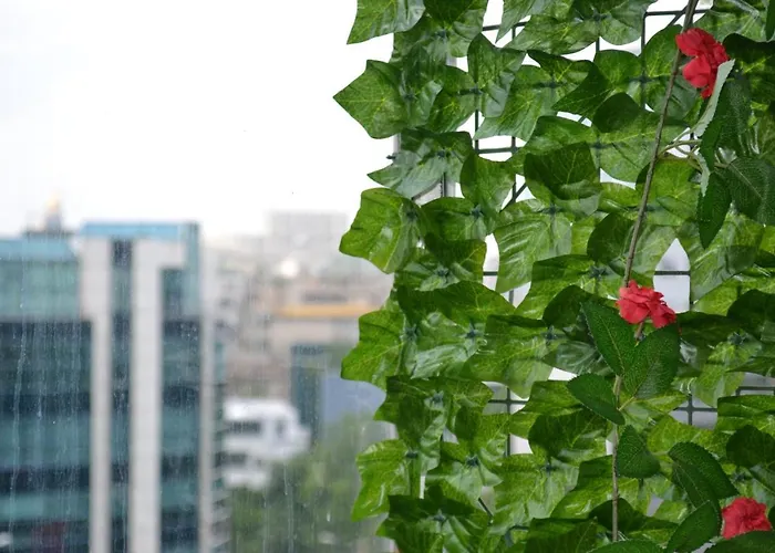 Dreams By The River Апартаменты Бухарест